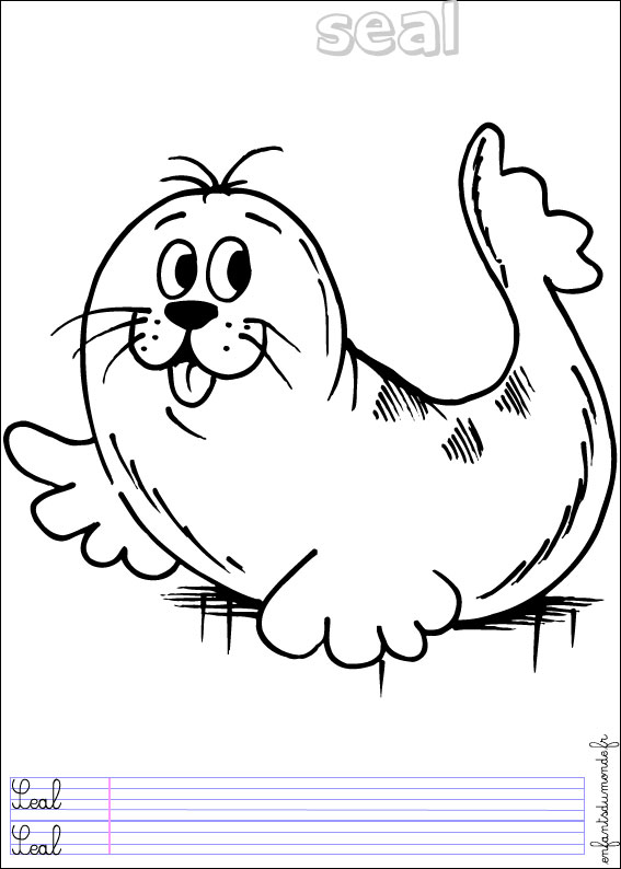 coloriage phoque 1